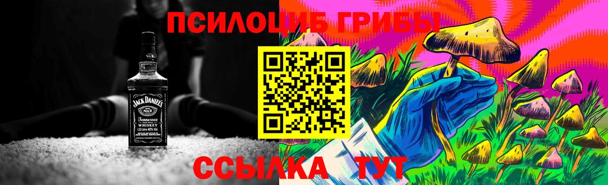 Псилоцибиновые грибы прущие грибы Великие Луки