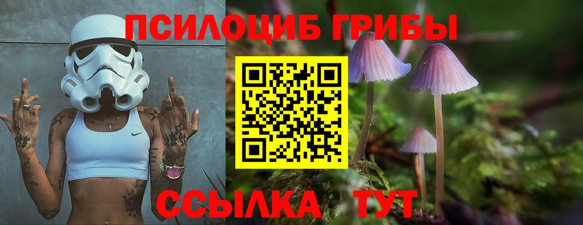 Галлюциногенные грибы ЛСД  Вход с VPN  как найти   Великие Луки  Псилоцибиновые грибы GOLDEN TEACHER 